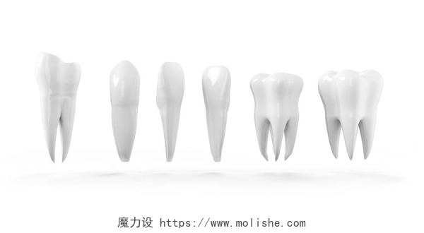 白色背景下的牙齿牙齿孤立的图标集。健康的牙齿 3d 插图与白色搪瓷和根。牙科，牙科保健服务，牙医办公室，口腔卫生主题设计